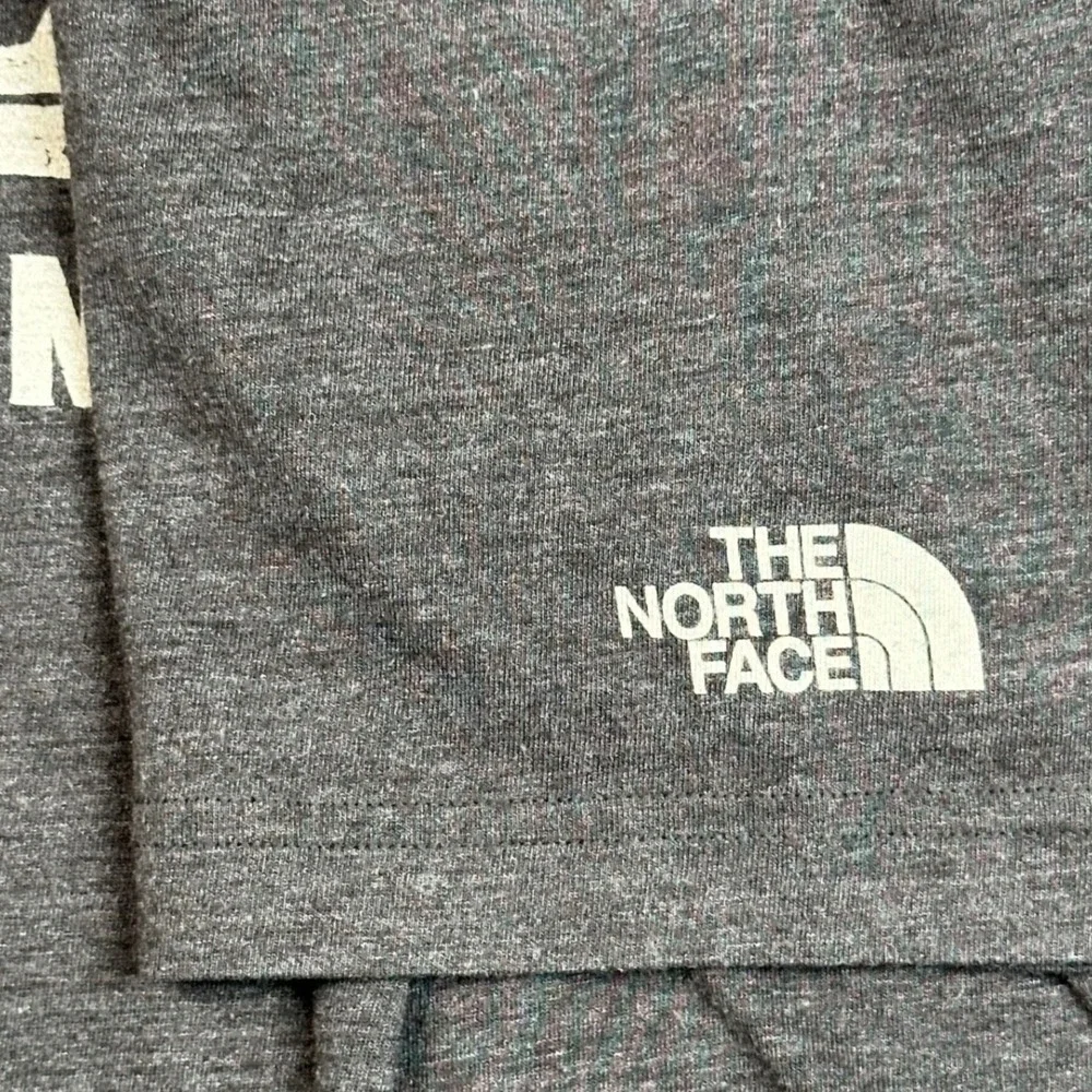 The North Face Cali Bear Tee Mens Large Gray Tri Blend Graphic Shirt Gorpcore